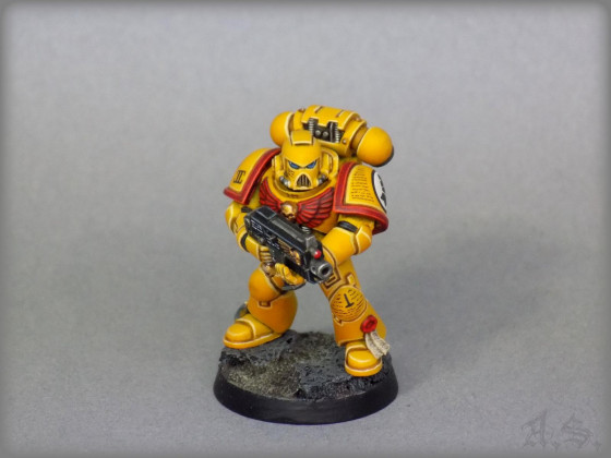 "Imperial Fists"