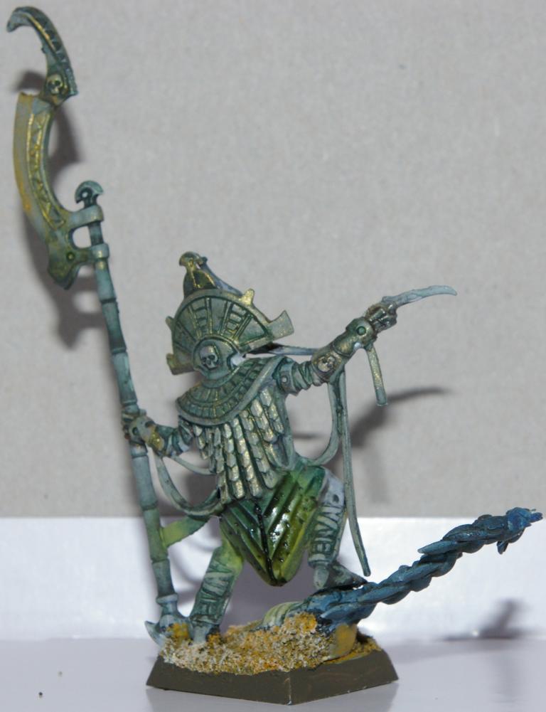 IMGP2917