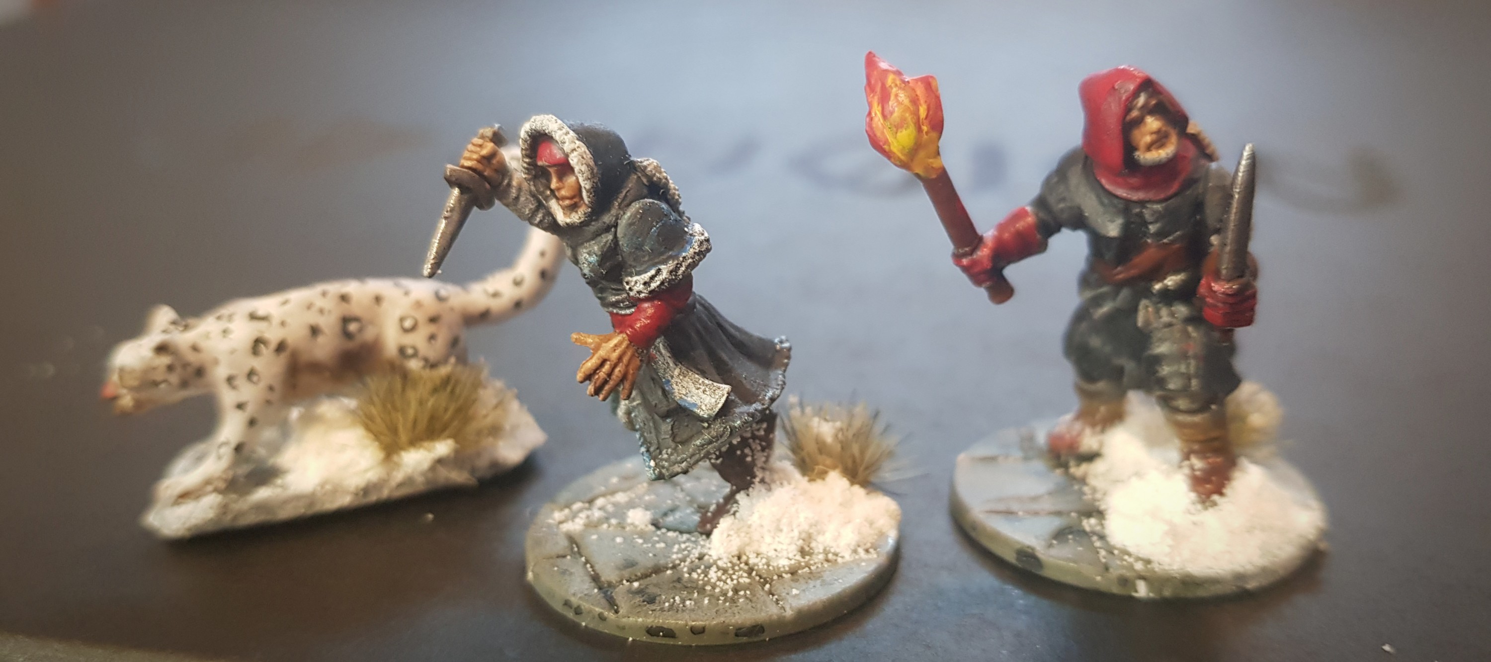 Frostgrave Bande