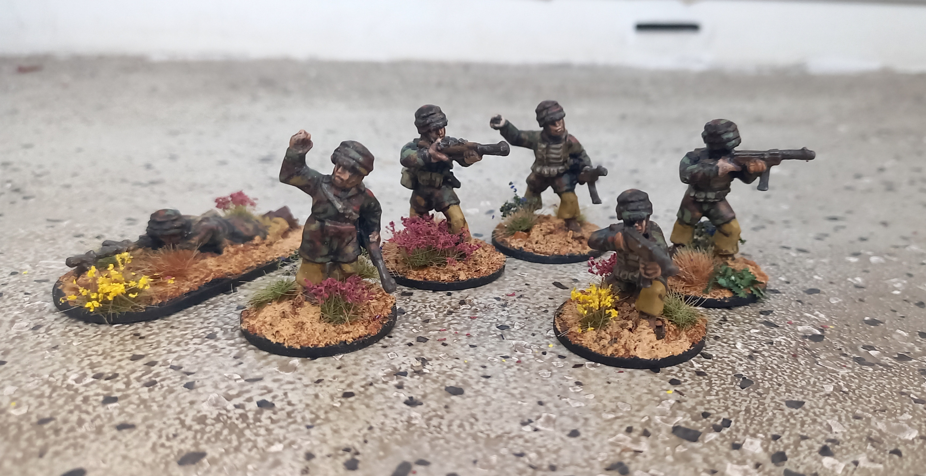 Paracadutisti Squad 1