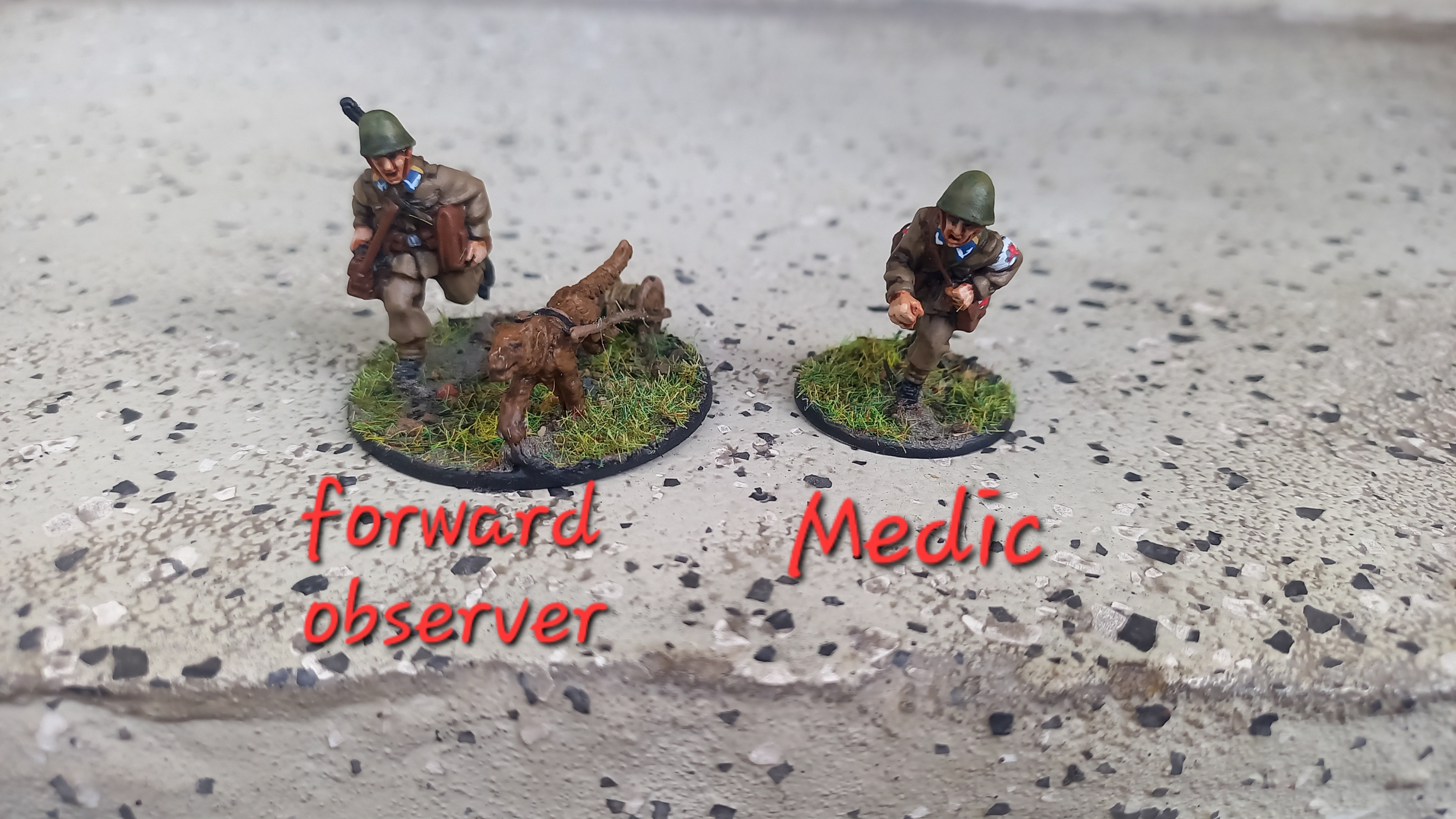 Forward observer + Medic