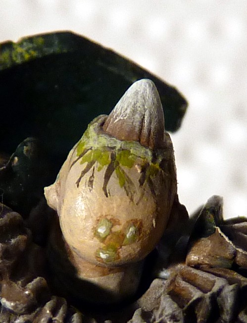 Verderber_04_klein_Detail