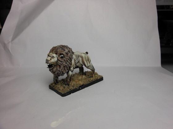 Ein weißer Löwe