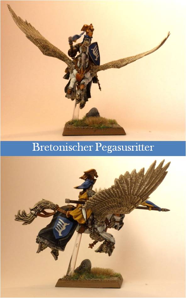 Bretonischer Pegasusritter 1