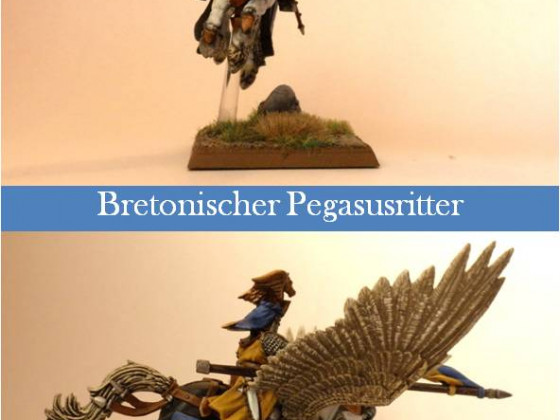 Bretonischer Pegasusritter 1