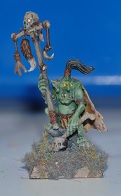 Goblinschamane