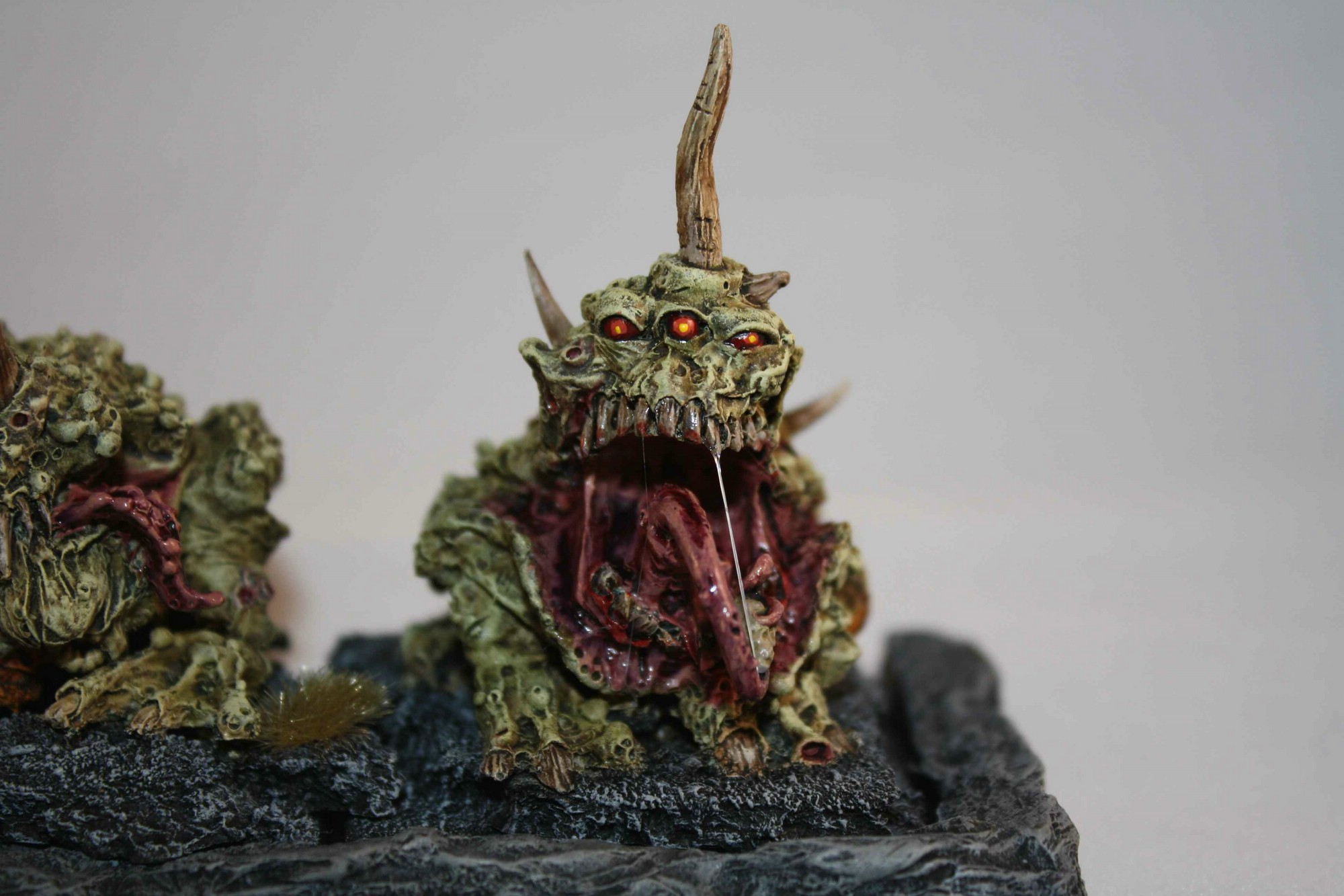 comp_Kröten2014_IMG_0054