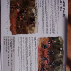 Forbidden Psalm - The last War