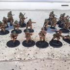Polinische Armee Im Aufbau